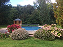 Swimming Pool Devon
