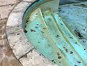 Swimming Pool Restoration Devon