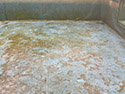 Swimming Pool Restoration Devon