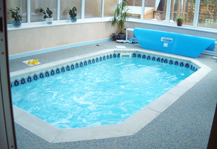 Devon swimming pool construction
